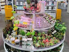 -KKV(深圳kk one 店)