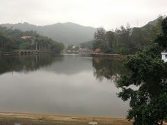 -银湖山郊野公园-相思林