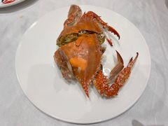-北塘海鲜·天津菜(大光明桥旗舰店)