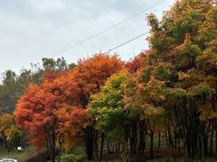 -吉林拉法山
