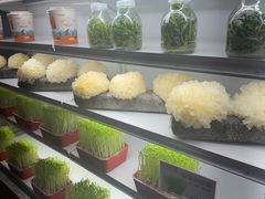 -番食园鲜食火锅(高新店)