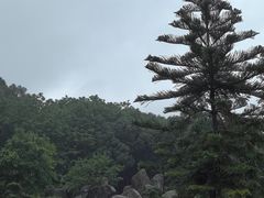 -东莞植物园