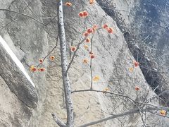 -黑龙潭风景区