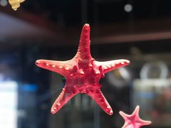 -青岛贝壳博物馆