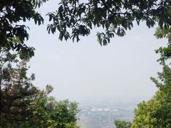 -惠山国家森林公园