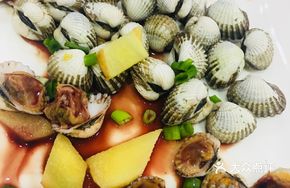 Wenzhou Blood Clam