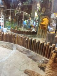 -宝燕乐园(闵行旗舰店)