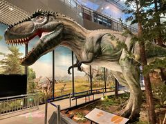 -湖南省地质博物馆