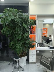 -时尚码头