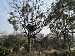 -上海野生动物园
