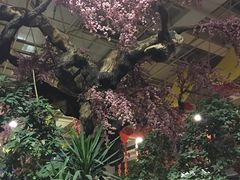 -新世纪绿洲(抚顺店)