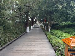 -天目湖山水园