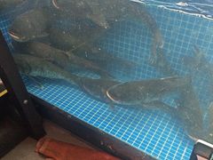 -川流不息·地道川菜·小龙虾(新松江路店)