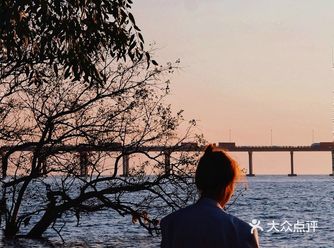 深圳「景」原来最爱的是等待夕阳的陌生人的剪影