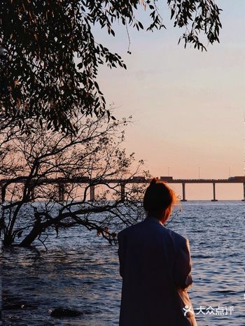 深圳「景」原来最爱的是等待夕阳的陌生人的剪影