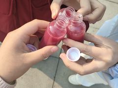 -秦始皇帝陵博物院-丽山园