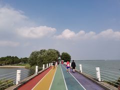 -贡湖湾湿地公园