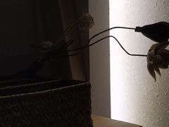 -锦初·禅意4K影院式足道·新中式SPA(茂业天地店)