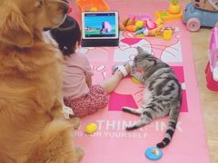 -如意馄饨(中医一附院店)