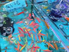 -清平路水族市场