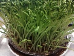 -好彩猪肚鸡(正弘城店)