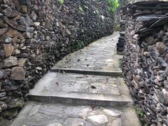 -南窖乡水峪村山情农家