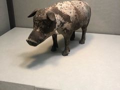 -台北故宫博物院