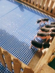 点击看大图 -萌宠亲子动物乐园(槐房万达店)