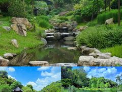 -云溪植物园