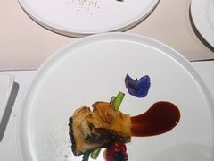 -Oyster Talks 四度蚝法餐厅