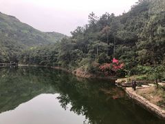-黄陂区野村谷景区
