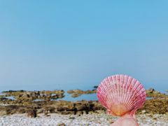 -海岛日记(养马岛店)