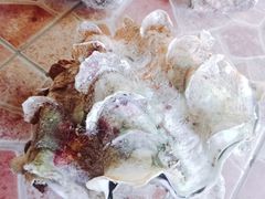-海盗餐厅