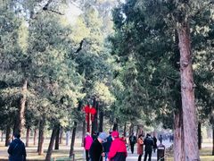 景点-景山公园