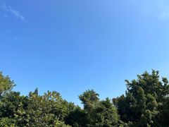 -广州市白云山风景名胜区