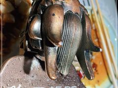 -雲蜀龙阁·金牌水煮鱼(方庄店)