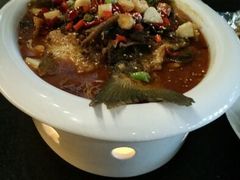 android_upload_pic-三强鸽子(胜利路店)