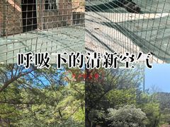 -金龙寺国家森林公园