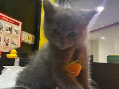 -解个谜沉浸剧情密室(天河店)