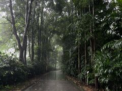 -华南国家植物园-售票处