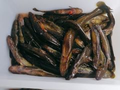 -畲乡一品鱼府土菜馆
