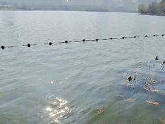 -天鹅湖体育公园