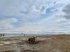-青海湖二郎剑景区