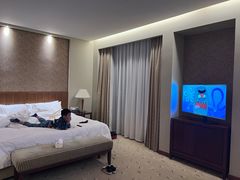 -汕尾巴黎半岛酒店