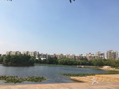 -新江湾城公园