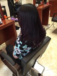 picture-璞玺形象