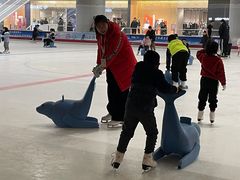 -TheRink大零溜冰场(IFS国金中心店)