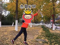 -金陵图书馆