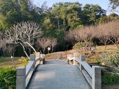 -广州市白云山风景名胜区