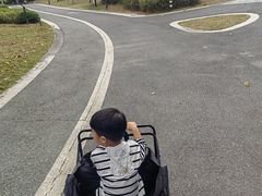 -王借岗森林公园